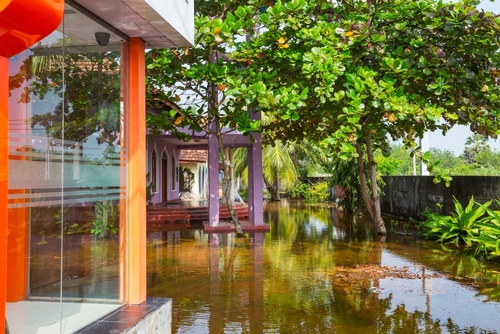 Earthquake and flood insurance — specialty perils